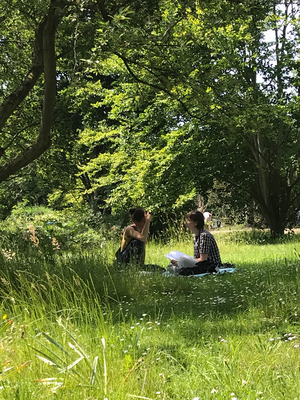 NaturCoaching Balance